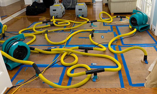 Professional Flood Damage Restoration technician working in Medfield, MA